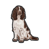 E&S-Springer Spaniel Sticker - Kornapet.com