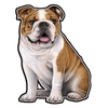 E&S - Bulldog - Vinyl Sticker - Kornapet.com