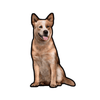 E&S-Austrailian Cattle Dog Sticker - Kornapet.com