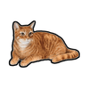 E&S-Orange Cat Sticker - Kornapet.com