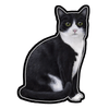E&S - Black & White Cat - Vinyl St - Kornapet.com