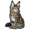E&S - Main Coon Kitten - Vinyl Sti - Kornapet.com