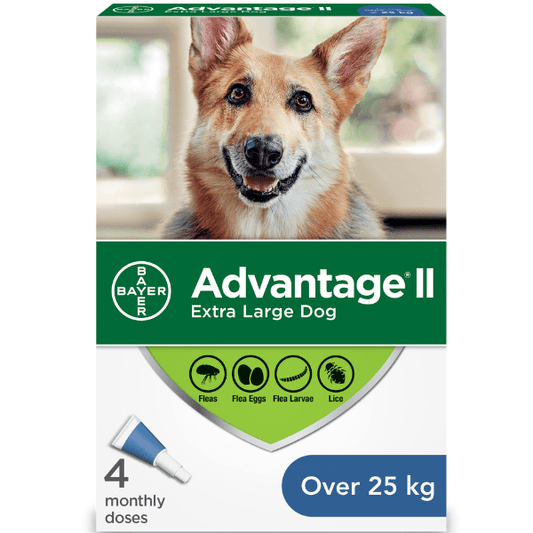 Advantage 2 - Flea Protection XLarge Dog 4 - Kornapet.com