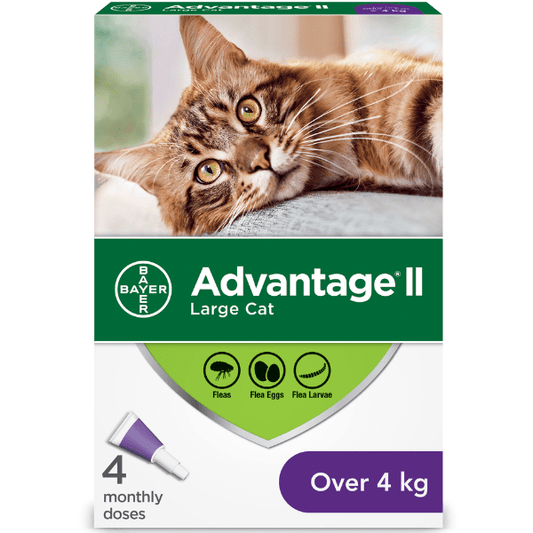 Advantage 2 - Flea Protection Large Cat 4 - Kornapet.com