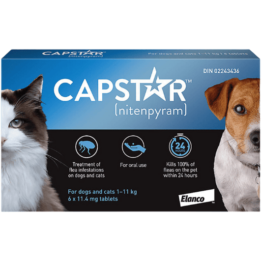 Capstar - Oral Flea Tablet 1 - 11kg - Kornapet.com
