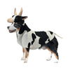 Amazing Pet Products-Wannabe Cow Mini - Kornapet.com
