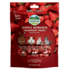 Oxbow - Strawberry Treats 14.2g - Kornapet.com
