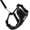 RC Pets - Adventure Kitty Harness, Black - Kornapet.com