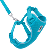 RC Pets - Adventure Kitty Harness, Teal - Kornapet.com