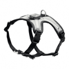 RC Pets - Nova LED Light Harness L - Kornapet.com