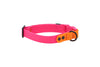 RC Pets - WProof Collar Aza/Or M - Kornapet.com