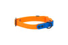 RC Pets - WProof Collar Or/Sap L - Kornapet.com