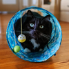 Multi Pet-Margaritaville Tunnel - Kornapet.com