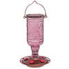 Eddis - Amethyst Jewel Feeder - Kornapet.com