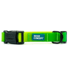 Woof Concept - Aqua Lime Maragrita - Kornapet.com