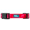 Premium Aqua Empress dog collar for large breeds