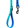 Woof Concept - Aqua Blue Hawaiian - Kornapet.com