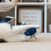 PLAY-Creepy Critters 2pk - Kornapet.com