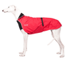 Chilly Dogs - Alpine Blazer Red/Black - Kornapet.com