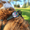Jiby Dog Crew - Birthday - Kornapet.com