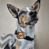 Jiby Dog Crew - Boba - Kornapet.com