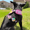 Jiby Dog Crew - I Love My Human - Kornapet.com