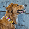 Jiby Dog Crew - Rainbow 1pc - Kornapet.com