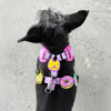 Jiby Dog Crew - Smiley 1pc - Kornapet.com