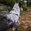 Jiby Dog Crew - Bat - Kornapet.com