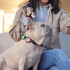 Jiby Dog Crew - Santa Paws 1pc - Kornapet.com