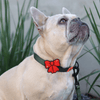 Jiby Dog Crew - Ribbon - Red 1pc - Kornapet.com