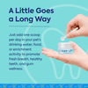 Teef for Life-Dental Powder Refill 3g - Kornapet.com