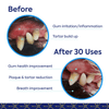 Teef for Life-Dental Powder Refill 9g - Kornapet.com