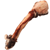K - 9 Choice - Kangaroo Leg Bone - Kornapet.com