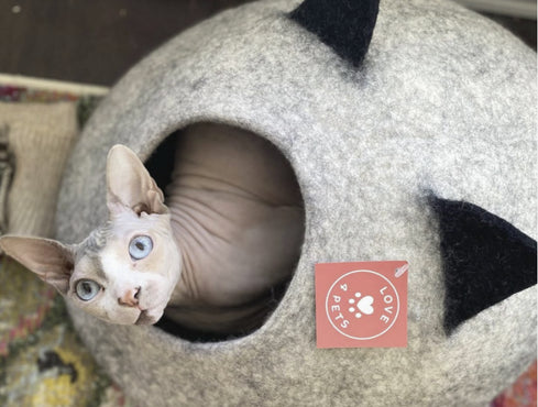 Beds, Mats, & Blankets