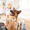 Birthday
