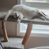 Cat Posts & Furniture