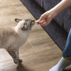 Cat Treats