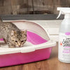 Cleaning Supplies