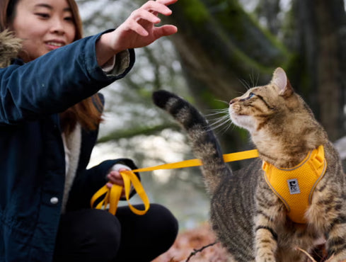 Backpacks, Carriers, & Crates