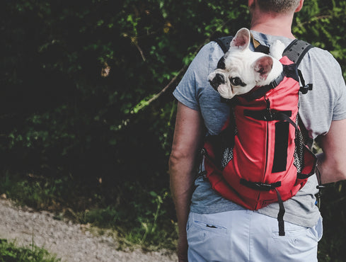 Backpacks, Carriers, & Crates