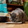 Cat Food