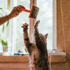 Grooming