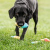 Dog Toys