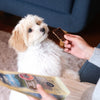 Dog Treats