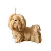 Clawed Candles - Brown Shitzhu 1pc - Kornapet.com