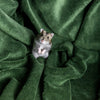 Small Animal