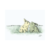 Korna Pet - Korna Greeting Cards - Kornapet.com
