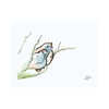 Korna Pet - Korna Greeting Cards - Kornapet.com