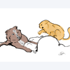 Love 4 Pets - Fighting Cat Card - Kornapet.com